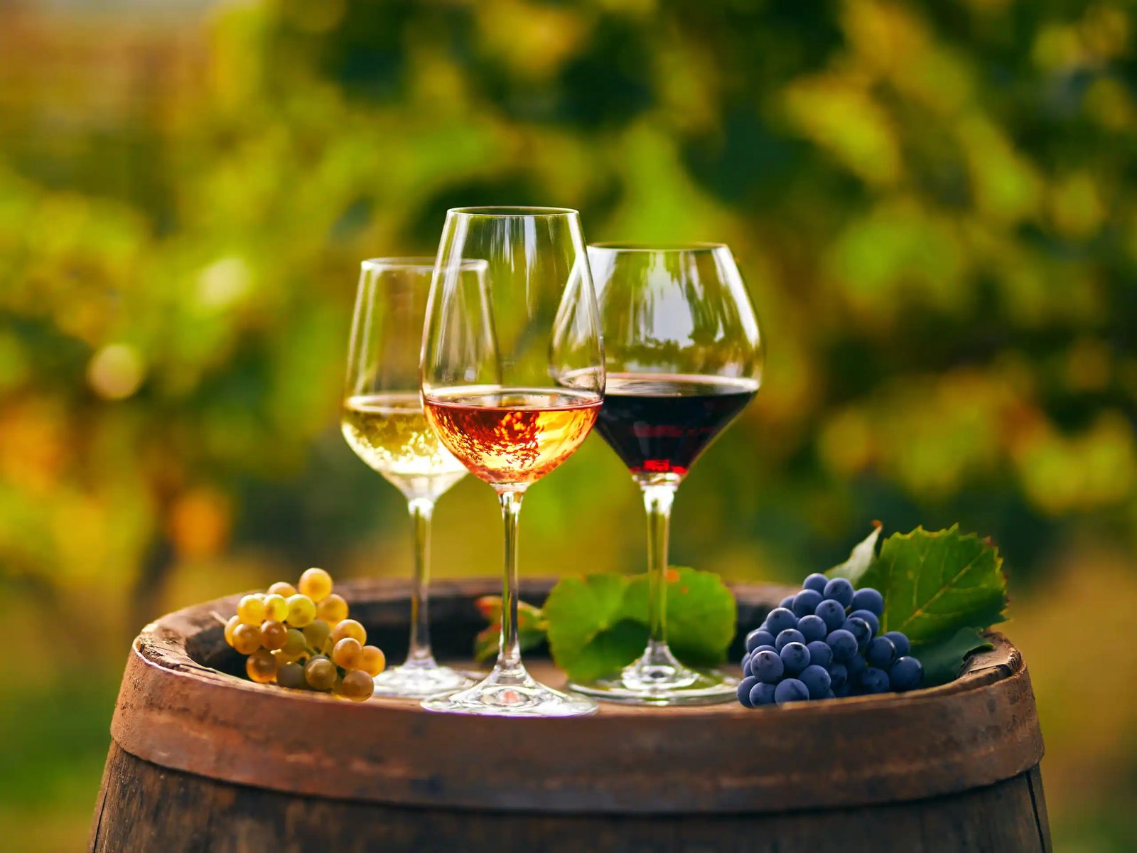 Sunday -Champagne Brunch buffet offer at Hyatt Regency Delhi